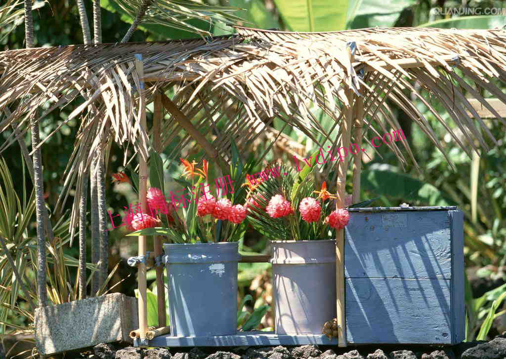 上海商標(biāo)注冊